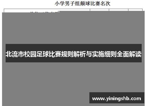 北流市校园足球比赛规则解析与实施细则全面解读